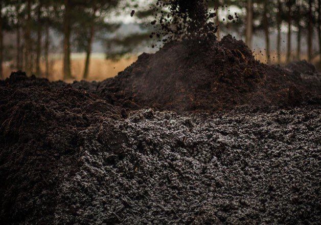 tołpa peat